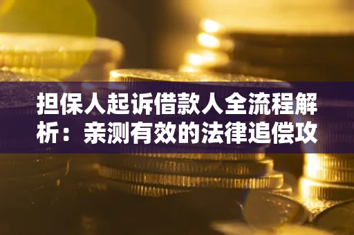 武汉担保人起诉借款人全流程解析：亲测有效的法律追偿攻略