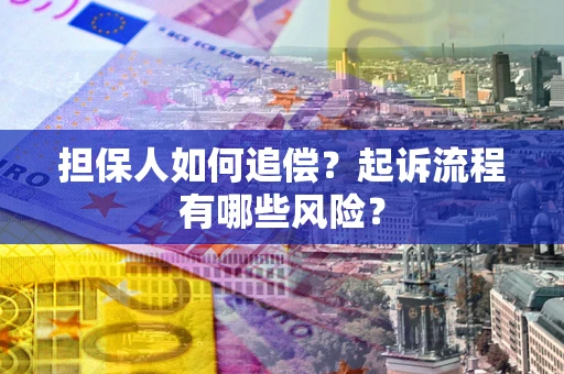 武汉担保人如何追偿？起诉流程有哪些风险？