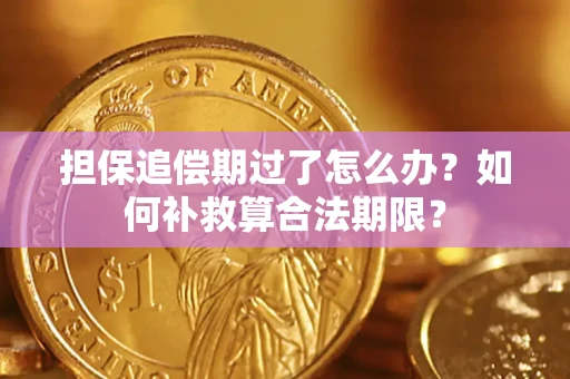武汉担保追偿期过了怎么办？如何补救算合法期限？