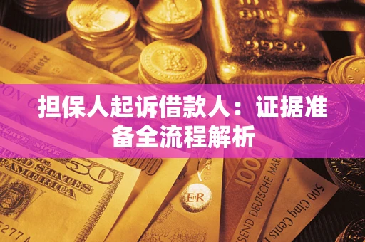 武汉担保人起诉借款人：证据准备全流程解析