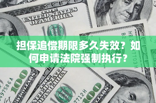 武汉担保追偿期限多久失效？如何申请法院强制执行？