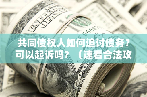 武汉共同债权人如何追讨债务？可以起诉吗？（速看合法攻略）