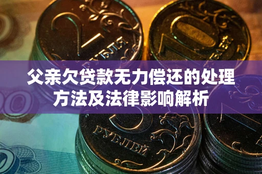 武汉父亲欠贷款无力偿还的处理方法及法律影响解析