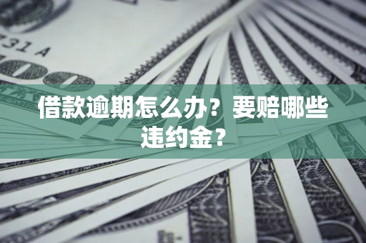 武汉借款逾期怎么办？要赔哪些违约金？
